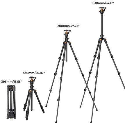 K&F CONCEPT Treppiede Fotocamera e Smartphone 163cm, Treppiede da Viaggio