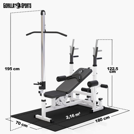 Panca Multifunzione - 46 Pezzi, Panca Regolabile, Portabilanciere, Butterfly, LAT Machine, Tappetino Fitness, 2 Bilancieri, 2 Manubri, 14 Dischi 100 kg - Stazione Fitness