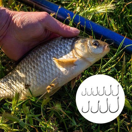 Amo da Pesca, 600 Pz Ami da Pesca in 10 Dimensioni, Amo da Pesca Occhiello, Ganci Spinato, Ami da Pesca in Acciaio al Carbonio con Scatola di Plastica, 3# - 12#