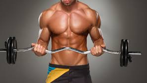 <h2>Fitness</h2>