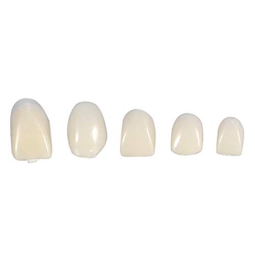 Corona temporanea, denti finti, 50 pezzi/scatola per l'igiene orale(Front teeth)