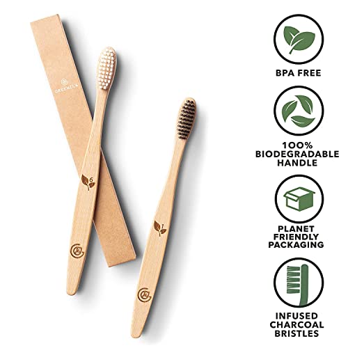 Greenzla Spazzolini Bamboo (Set da 12) | Spazzolini da denti a setole morbide senza BPA | Set di spazzolini da denti in bambù naturale ecologico | Spazzolini da denti biodegradabili e compostabili