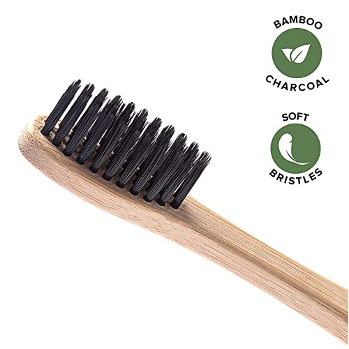 Greenzla Spazzolini Bamboo (Set da 12) | Spazzolini da denti a setole morbide senza BPA | Set di spazzolini da denti in bambù naturale ecologico | Spazzolini da denti biodegradabili e compostabili