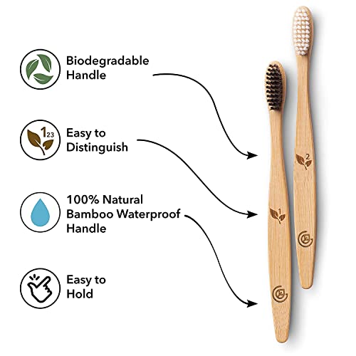 Greenzla Spazzolini Bamboo (Set da 12) | Spazzolini da denti a setole morbide senza BPA | Set di spazzolini da denti in bambù naturale ecologico | Spazzolini da denti biodegradabili e compostabili