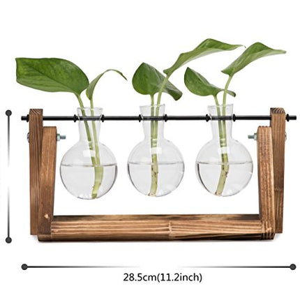 Hyindoor Moderno Vaso a Bulbo in Vetro Idroponico, Decorazione Casa Ufficio Giardino