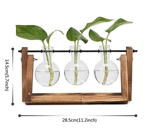 Hyindoor Moderno Vaso a Bulbo in Vetro Idroponico, Decorazione Casa Ufficio Giardino