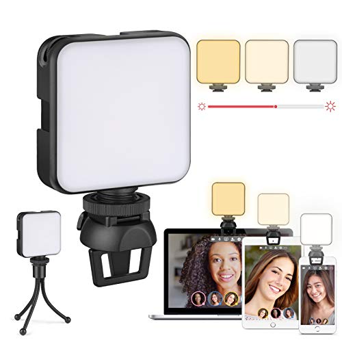 Luce per Videoconferenza, Zoom Ring Light, Luce ad Anello per Webcam & Computer/Laptop Portatile, Luce per Selfie con Stativo Treppiede & Clip per Tik Tok, Telefono, Fotografia, Youtube