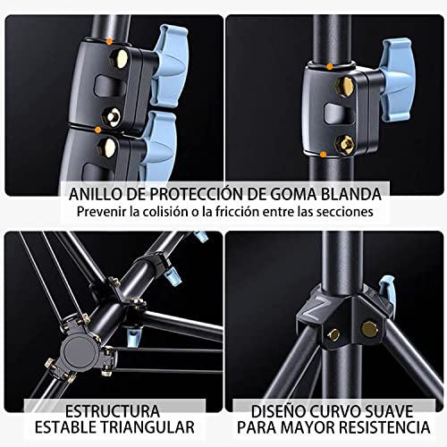 Supporto per Sfondi 2,8x3m Regolabile Sistema Professionale per Fondale in Cotone Studio Fotografia Ritratti Video LiveStreaming Feste Matrimoni con Borsa Portatile Morsetti e Sacchetti Sabbia