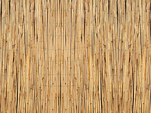 Il Gruppone Passione Casa Arella in bambù per Recinzioni Frangivento Frangivista Stuoia Canne di Bamboo Naturale Giardini Balconi Schermo Privacy Ombreggiante - Naturale - 2x3 M