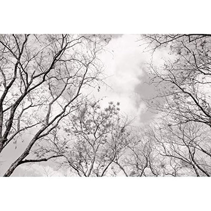 Carta da parati fotografica XXL con corona di alberi, in tessuto non tessuto, motivo: albero della vita, colore bianco e nero, 384 x 260 cm