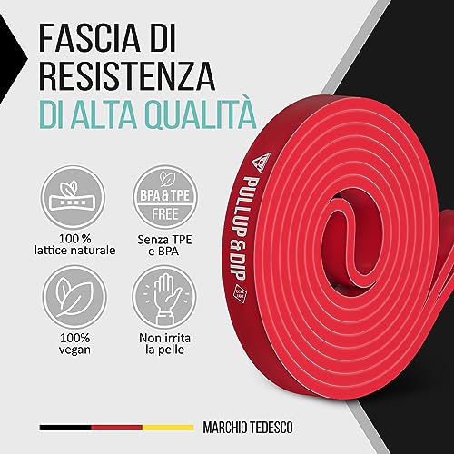 PULLUP & DIP Elastico Fitness per Trazioni, Bande Elastici Fitness, Bande Elastiche di Resistenza (LUCE EXTRA (rosso))