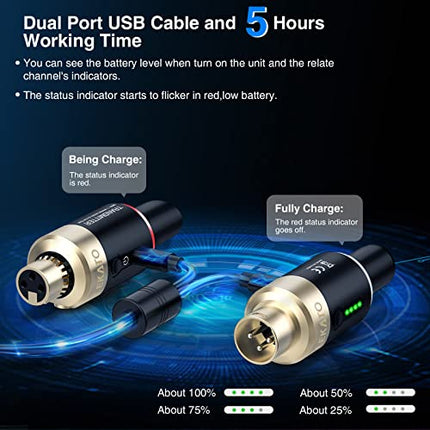 LEKATO Sistema microfonico wireless XLR, 5.8 Ghz Ricevitore trasmettitore plug-on per microfono dinamico, mixer audio, fotocamera DSLR, sistema PA