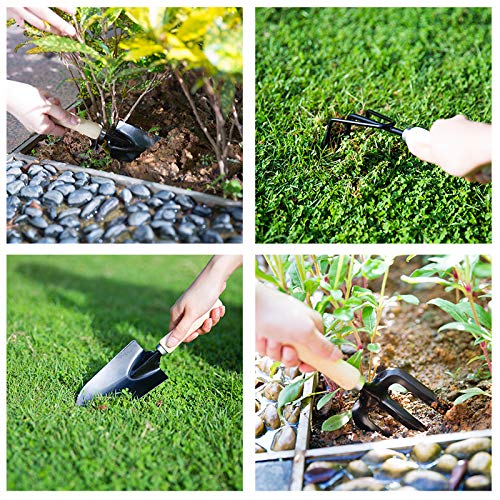 lyndeluxe Attrezzi e Utensili da Giardino 10 pezzi, Kit da Giardinaggio con Custodia, Robusti Attrezzi per Piantare Uomo/Donna